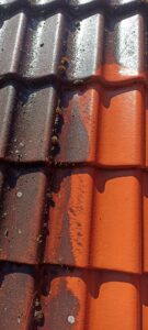 mycie ciśnieniowe dach