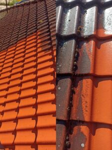 mycie ciśnieniowe dach