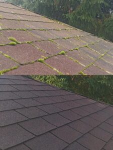 mycie ciśnieniowe dach