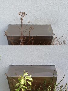 mycie cisnieniowe elewacja